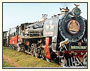 The Royal Orient Luxury Train Tour