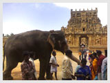 Tanjore Temple